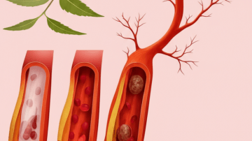 🥛✨ Papaya Sap Secret: 9 Benefits You’ve Been Ignoring