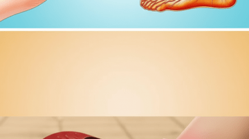 🌿💚 The Sacred Leaf: Discover the Power of Neem to Transform Your Well-Being Naturally!