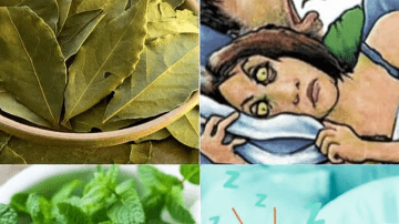 The Ultimate Guide to Unlocking All-Day Energy and Focus