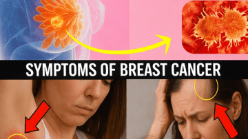 How to Get Rid of Rats and Cockroaches in Just ONE Night – The Mexican Trick Everyone Is Talking About