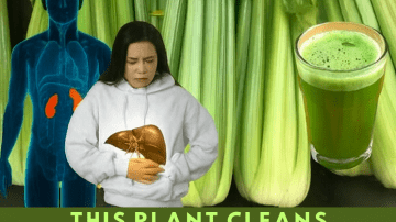 How to Get Rid of Rats and Cockroaches in Just ONE Night – The Mexican Trick Everyone Is Talking About