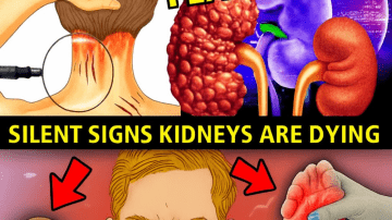 Euphorbia Hirta: The Common Garden Weed That’s 30 Surprising Health Benefits and How to Use It Safely at Home