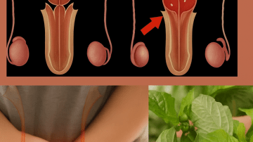 The Secret Duo: Why Lemon and Charcoal Belong in Your Wellness Routine