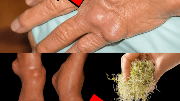 The Secret Duo: Why Lemon and Charcoal Belong in Your Wellness Routine