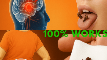 The Everywoman Combo: A Simple, Natural Key to Hormonal Balance