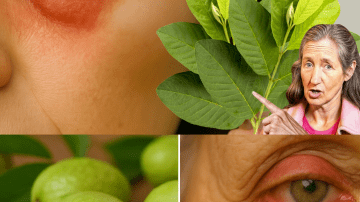 The Ultimate Immune Boost: How to Make the Perfect Pineapple, Turmeric, and Carrot Juice