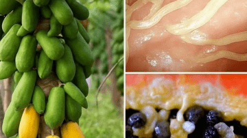 What You Might Notice When Adding Just Two Cloves to Your Daily Routine