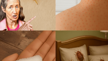 Could Soaking Dates Overnight in Water Be the Simple Daily Habit Your Body Has Been Missing?