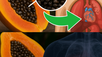 Could Soaking Dates Overnight in Water Be the Simple Daily Habit Your Body Has Been Missing?