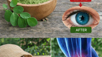 Why You Might Want to Start Chewing Just a Few Papaya Seeds Every Day: A Simple Habit Worth Exploring