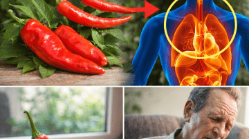 Why You Might Want to Start Chewing Just a Few Papaya Seeds Every Day: A Simple Habit Worth Exploring