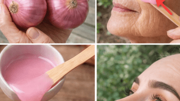 A Simple Guide to Exploring Eggshell Powder as a Natural Option for Brighter Teeth and Oral Care