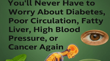 Discover 14 Potential Everyday Benefits of Moringa Leaves for Natural Wellness Support