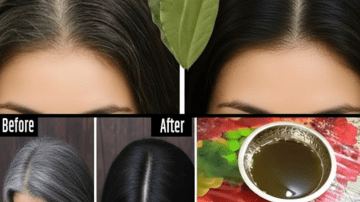 Discover 14 Potential Everyday Benefits of Moringa Leaves for Natural Wellness Support