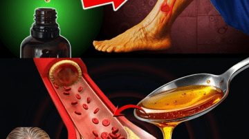 Discover 14 Potential Everyday Benefits of Moringa Leaves for Natural Wellness Support