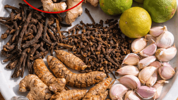 What You Need to Know About Avocado Seeds: A Simple Guide to Their Properties and Safe Uses