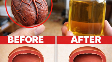 What You Need to Know About Avocado Seeds: A Simple Guide to Their Properties and Safe Uses