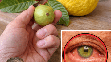 How to Incorporate Onion Skins into Your Daily Routine for Better Prostate and Bladder Support