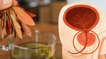 Discover the Surprising Ways Papaya Seeds Can Support Your Daily Wellness Routine