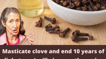 Discover the Surprising Ways Papaya Seeds Can Support Your Daily Wellness Routine