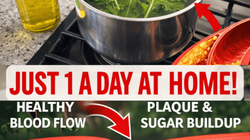 Discovering Key Vitamins That May Support Better Circulation and Intimacy for People with Diabetes