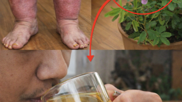 Exploring a Simple Eggshell Remedy: Natural Ways to Support Knee Comfort and Bone Strength for Active Seniors