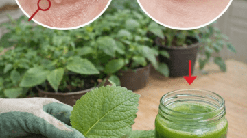 What Are the Potential Benefits of Adding Two Simple Homemade Drinks to Your Daily Routine?