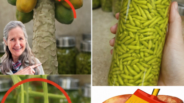 How to Make a Simple Natural Juice That Supports Healthy Blood Circulation at Home