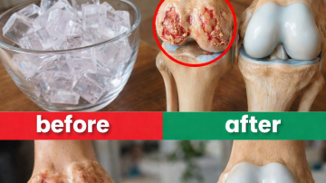 Is Bay Leaf Tea a Simple Daily Habit Worth Trying for Better Wellness?