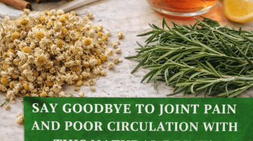 Is Bay Leaf Tea a Simple Daily Habit Worth Trying for Better Wellness?