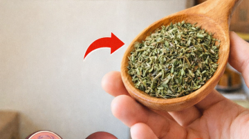 5 Gentle Exercises You Can Do Seated or Standing After Age 60 – Expert-Recommended Alternatives to Walking