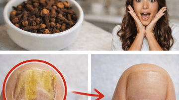 6 Best Natural Drinks to Support Your Kidney Health as You Age