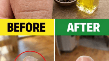 11 Gentle Bedtime Drinks That May Support Kidney Health and Nighttime Recovery