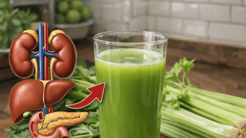 Discover 6 Simple Morning Habits That Can Help Support Your Kidney Health Naturally