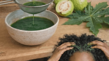 🌿 The Hidden Healer in Your Backyard: Euphorbia Hirta – The Weed That Conquers Asthma and More!