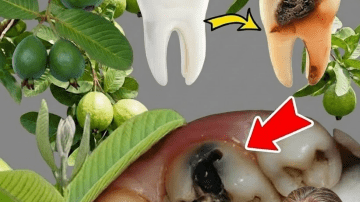 🌟 The Hidden Dental Secret: Whiten Teeth and Remove Tartar in Just 2 Minutes – What Dentists Won’t Tell You