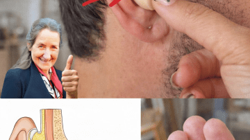 Best Protein Sources to Naturally Support Kidney Health: A Helpful Guide for Everyday Meals