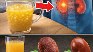 How to Incorporate Guava Leaves into Your Daily Oral Care Routine: 3 Simple Natural Approaches