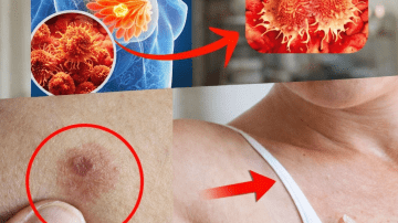 How Can Everyday Onions Support Men’s Vitality and Overall Wellness?