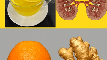 The Ultimate Guide to Unlocking All-Day Energy and Focus