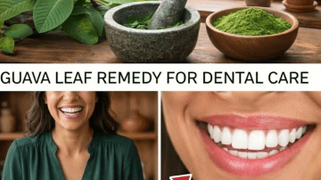 🚀 THE GUT GUARDIAN: Unlock the Explosive Nutritional Potential of Papaya Seeds