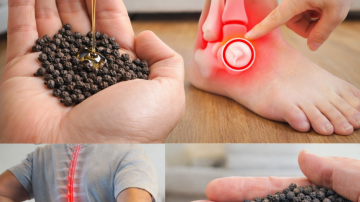 Discover 12 Nutrient-Rich Foods That May Help Support Healthy Creatinine Levels and Kidney Function