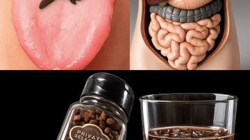 The Ultimate Guide to Unlocking All-Day Energy and Focus