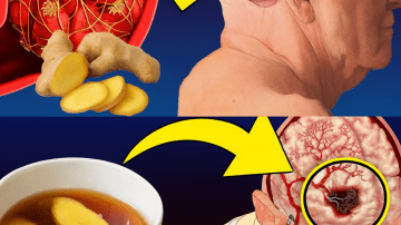 The Ultimate Guide to Unlocking All-Day Energy and Focus