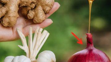 Can Salt Really Help Keep Bedbugs Out of Your Garden? Exploring the Popular Tip and Better Options