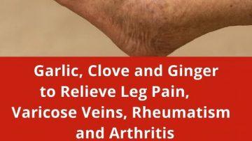 Can Salt Really Help Keep Bedbugs Out of Your Garden? Exploring the Popular Tip and Better Options