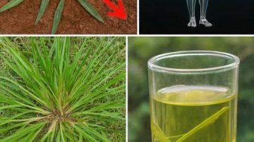 How to Explore Garlic and Clove Oil as a Home Remedy for Better Leg Comfort and Circulation