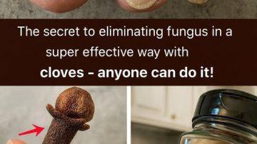 How to Explore Garlic and Clove Oil as a Home Remedy for Better Leg Comfort and Circulation