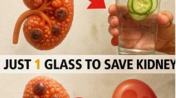 Can Salt Really Help Keep Bedbugs Out of Your Garden? Exploring the Popular Tip and Better Options