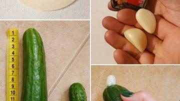 Exploring the Habits and Dietary Secrets of Japan’s Longest-Living Doctors for Vitality